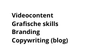 Videocontent Grafische skills Branding Copywriting blog